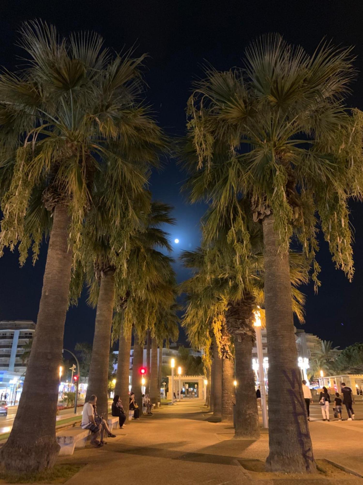 Apartamento Completo Junto A La Playa サロウ エクステリア 写真
